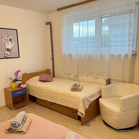 Bukor With Seasonal Pool Апартаменты Lukovica pri Domzalah